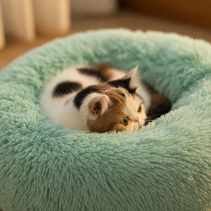 Winter Pet Bed